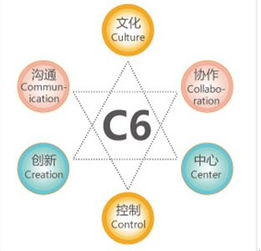 金和C6六脈神劍 助力企業跨越管理黑洞，實現高效運營